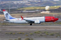 Miguel A. gueda Rguez.  (CANARY ISLANDS SPOTTING). Haz click para ampliar