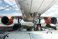 Adrin Alonso Lemes - Lanzarote Spotters. Haz click para ampliar