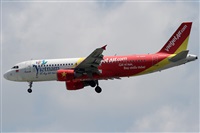 ©Alfonso Solís - Asociación Canary Islands Spotting. Click to see full size photo ©Alfonso Solís - Asociación Canary Islands Spotting. Click to see full size photo