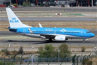 ©Alfonso Solís - Asociación Canary Islands Spotting. Click to see full size photo ©Alfonso Solís - Asociación Canary Islands Spotting. Click to see full size photo