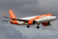 Alfonso Sols - Asociacin Canary Islands Spotting. Click to see full size photo