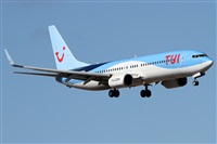 Alfonso Sols - Asociacin Canary Islands Spotting. Click to see full size photo