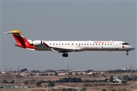 Alfonso Sols - Asociacin Canary Islands Spotting. Click to see full size photo
