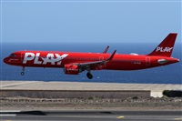 Alfonso Sols - Asociacin Canary Islands Spotting. Click to see full size photo