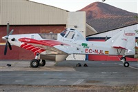 Adolfo Bento - Gran Canaria Spotters. Click to see full size photo