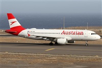 Alfonso Sols - Asociacin Canary Islands Spotting. Haz click para ampliar