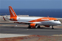 Alfonso Sols - Asociacin Canary Islands Spotting. Click to see full size photo