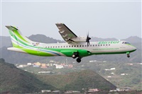 ŠLuis Rguez - La Palma Spotting. Click to see full size photo ŠLuis Rguez - La Palma Spotting. Click to see full size photo