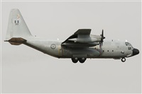 La Roche Spotters. Click to see full size photo