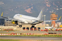 Miguel A. gueda Rguez.  (CANARY ISLANDS SPOTTING). Click to see full size photo