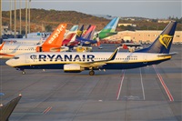 Miguel A. gueda Rguez.  (CANARY ISLANDS SPOTTING). Click to see full size photo