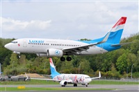 Miguel A. gueda Rguez.  (CANARY ISLANDS SPOTTING). Click to see full size photo