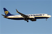Alfonso Sols - Asociacin Canary Islands Spotting. Haz click para ampliar
