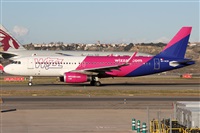 Alfonso Sols - Asociacin Canary Islands Spotting. Click to see full size photo