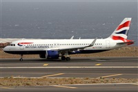 Alfonso Sols - Asociacin Canary Islands Spotting. Haz click para ampliar