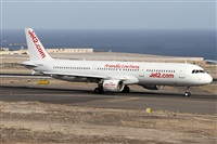 ©Alfonso Solís - Asociación Canary Islands Spotting. Click to see full size photo ©Alfonso Solís - Asociación Canary Islands Spotting. Click to see full size photo