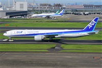 Miguel A. gueda Rguez.  (CANARY ISLANDS SPOTTING). Click to see full size photo