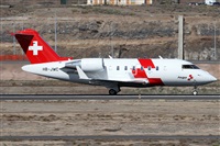 ©Alfonso Solís - Asociación Canary Islands Spotting. Click to see full size photo ©Alfonso Solís - Asociación Canary Islands Spotting. Click to see full size photo