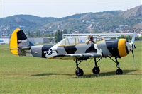 Tams. Click to see full size photo