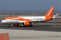 Alfonso Sols - Asociacin Canary Islands Spotting. Click to see full size photo