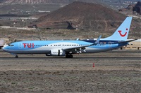 ©Alfonso Solís - Asociación Canary Islands Spotting. Click to see full size photo ©Alfonso Solís - Asociación Canary Islands Spotting. Click to see full size photo