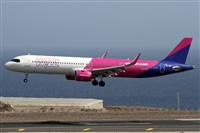 ©Alfonso Solís - Asociación Canary Islands Spotting. Click to see full size photo ©Alfonso Solís - Asociación Canary Islands Spotting. Click to see full size photo