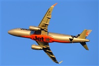 �Miguel A. �gueda Rguez.  (CANARY ISLANDS SPOTTING). Click to see full size photo