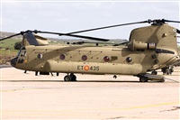 �Sergio Cambronero - Asociaci�n AIRE. Click to see full size photo