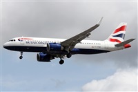 �Alfonso Sol�s - Asociaci�n Canary Islands Spotting. Click to see full size photo