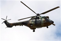 �Adri�n Alonso Lemes - Lanzarote Spotters. Click to see full size photo