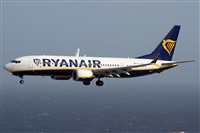�Alfonso Sol�s - Asociaci�n Canary Islands Spotting. Click to see full size photo