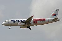 ©José Miguel Bernases - Noisy Spotters. Click to see full size photo ©José Miguel Bernases - Noisy Spotters. Click to see full size photo