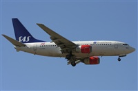 Jos Miguel Bernases - Noisy Spotters. Click to see full size photo