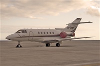 Javier de la Cruz - CANARY ISLANDS SPOTTING. Haz click para ampliar