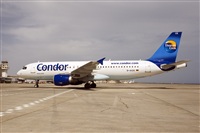 Javier de la Cruz - CANARY ISLANDS SPOTTING. Click to see full size photo