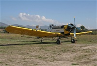 Pablo Pay - Pericana Spotters. Click to see full size photo