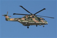 JAbreu                                                              www.portugalspotters.net. Click to see full size photo