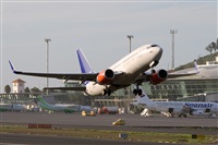 Javier de la Cruz - CANARY ISLANDS SPOTTING. Haz click para ampliar
