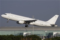 Jos Miguel Bernases - Noisy Spotters. Click to see full size photo