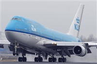 Jos Miguel Bernases - Noisy Spotters. Click to see full size photo