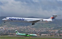 Alejandro Bethencourt (Canary Islands Spotting). Click to see full size photo