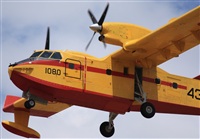 ©Fco Javier Chao. Click to see full size photo ©Fco Javier Chao. Click to see full size photo