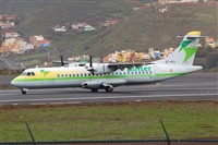 Miguel A. gueda Rguez.  (CANARY ISLANDS SPOTTING). Click to see full size photo