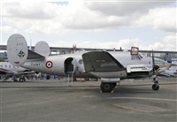 Cele - Spotters BCN. Click to see full size photo
