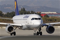 Jos Miguel Bernases - Noisy Spotters. Click to see full size photo