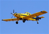 Alejandro H.L - Gran Canaria Spotters. Click to see full size photo