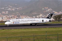 Javier de la Cruz - CANARY ISLANDS SPOTTING. Haz click para ampliar