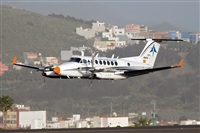 Javier de la Cruz - CANARY ISLANDS SPOTTING. Click to see full size photo