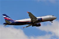 Miguel A. gueda Rguez.  (CANARY ISLANDS SPOTTING). Click to see full size photo