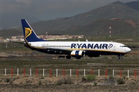 Nacho Rodriguez - Canary Islands Spotting. Click to see full size photo
